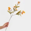 Arancione autunnale