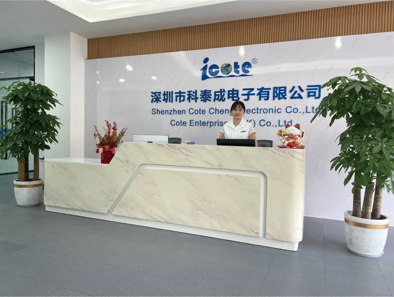 Shenzhen Cote Cheng Electronic Co., Ltd.