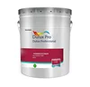 Customer-specified color