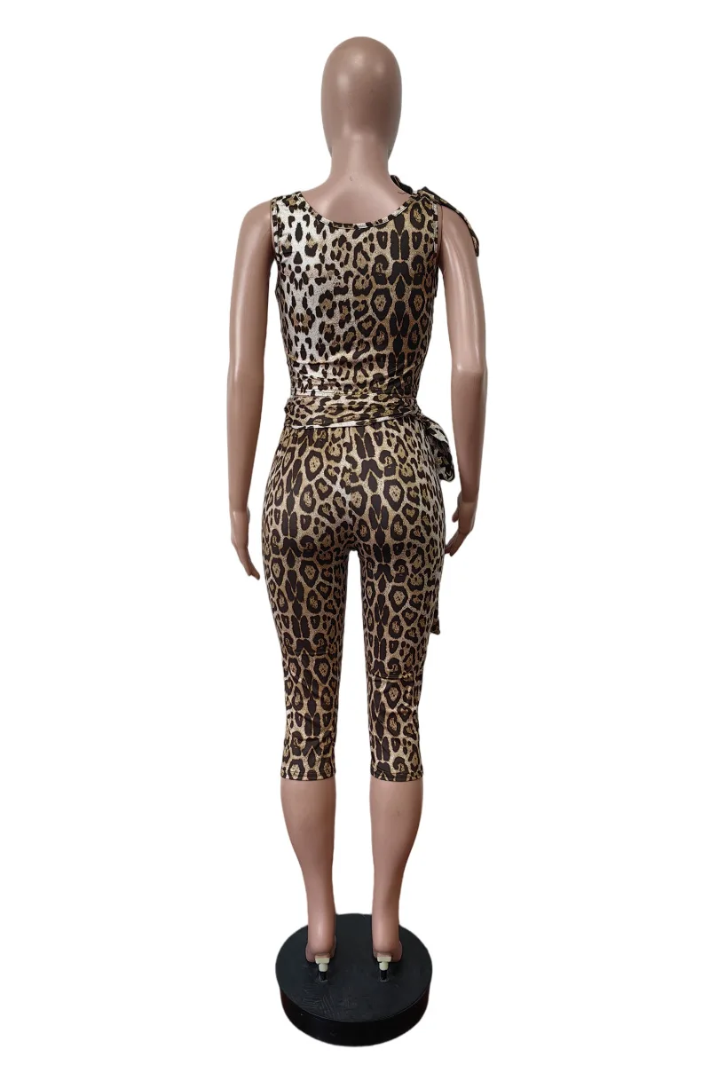 Leopard Print Loose Long Sleeve Pants Two Piece Set