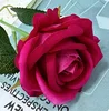Rosa Roja