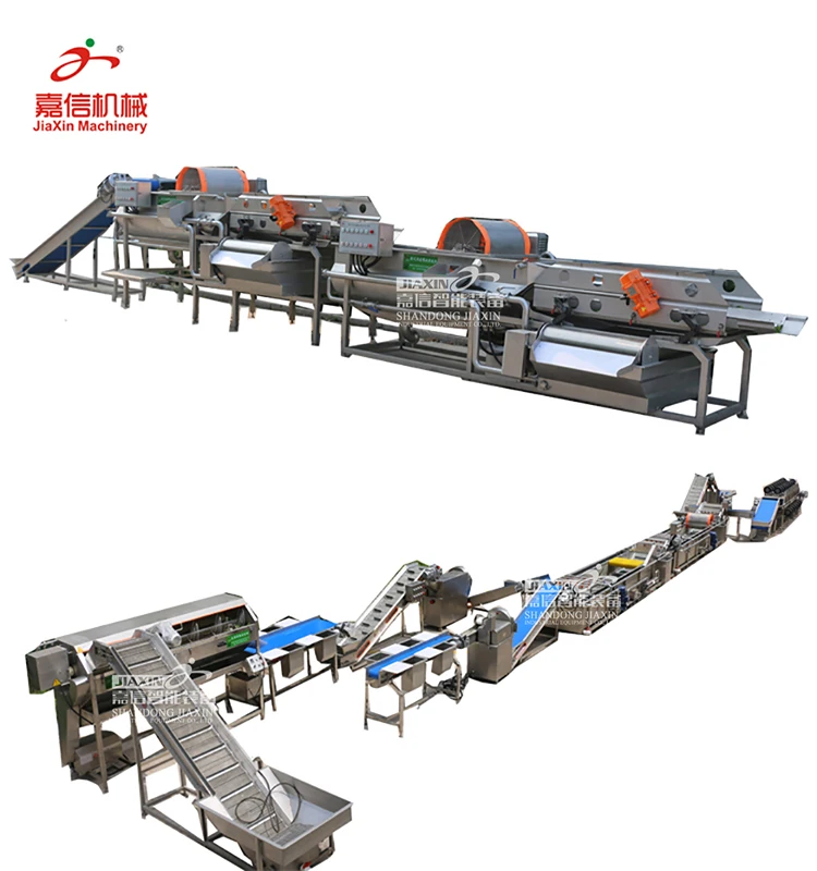 Automatic frozen fruit and vegetable production line Washing Drying Line Frozen Vegetable Washing Processing Line