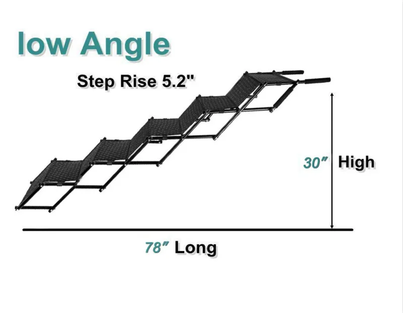 dog steps5