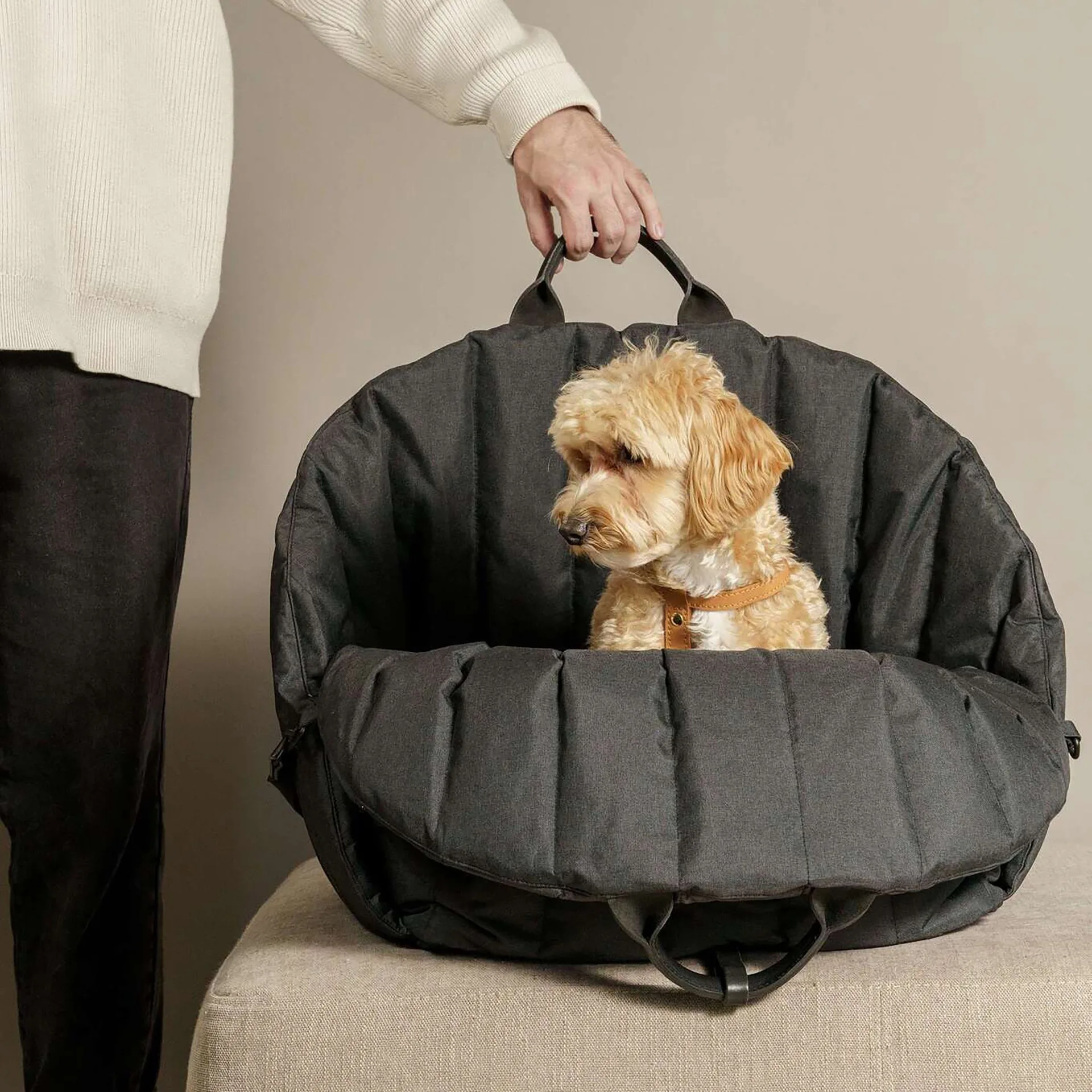 Luxury Small Dog Car Seat Sling Carrier Warm Portable Pet Backpack Soft Transparent Canvas Safety Removable Outdoor House Pet
