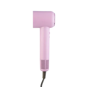 Durable Motor Hair Dryer 2 Speed Settings Lightweight and Low Noise Design for Daily Hair Styling