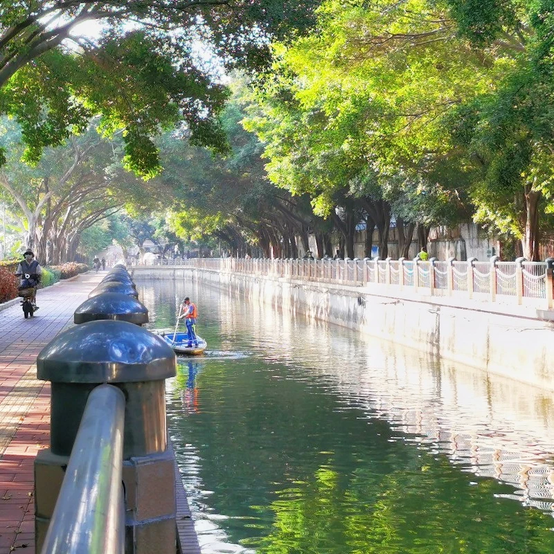 Специализированная бактерия для очистки сточных вод, чистой воды, уменьшение уровня груза, устранение запаха сточных вод