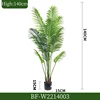 140CM/Palmier Areca