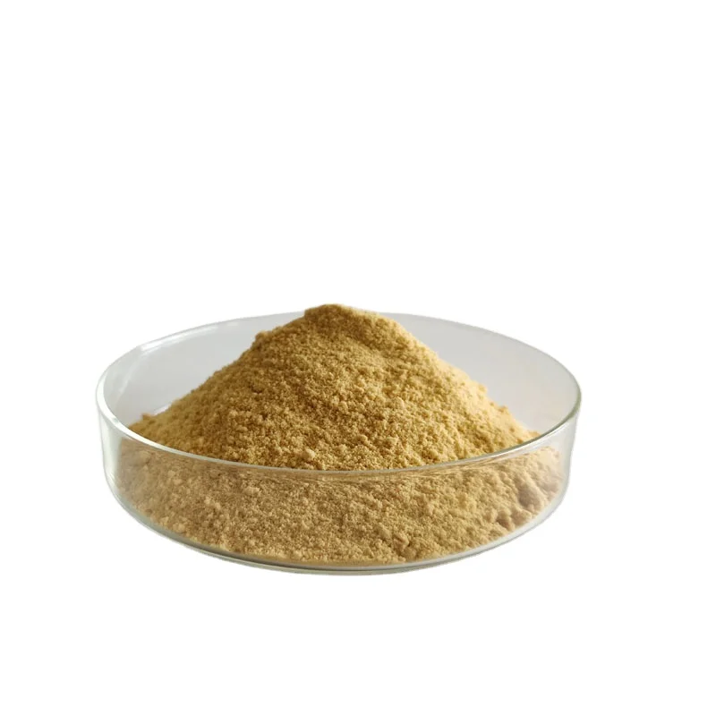 NF Food Grade Hot Sale Schizochytrium Powder