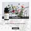 Eucalptus