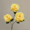 Amarillo