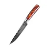 Red steak knife