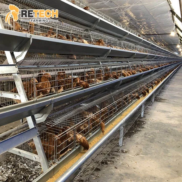 Poultry Farm Simple Design Manual Layer Cage for 10000 Chickens House