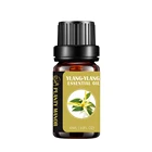 Rose Essential Oil Gift Set Kits Ylang Ylang Eucalyptus Rose Perfume Aromatherapy Aroma Essential Oil