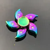 fleurs de bauhinia violettes Q5-vibrantes