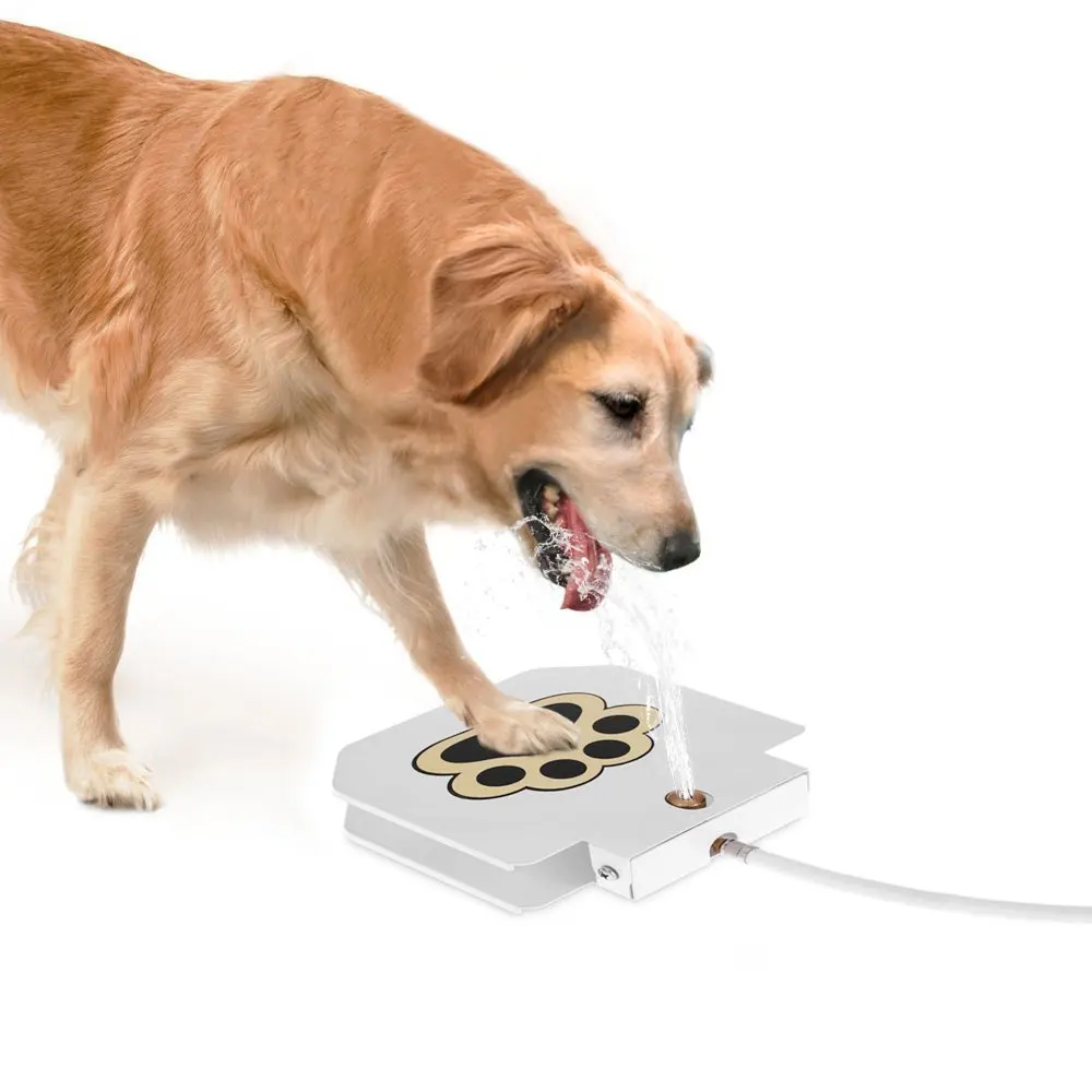 outdoor pet drinking fountain