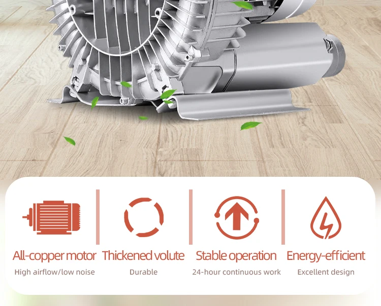 Ring Blower, 2hp, 3HP, 5hp, 7.5hp - detail 4