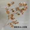 Petite rose simple à plusieurs têtes