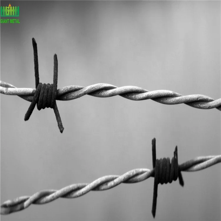 Factory Direct 200m Barbed Wire Coil 1.8mm Double Twisted Galvanized Steel PVC Coated Razor Wire Wall Spike Directly Iron Wire