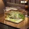 Piccolo acquario ecologico