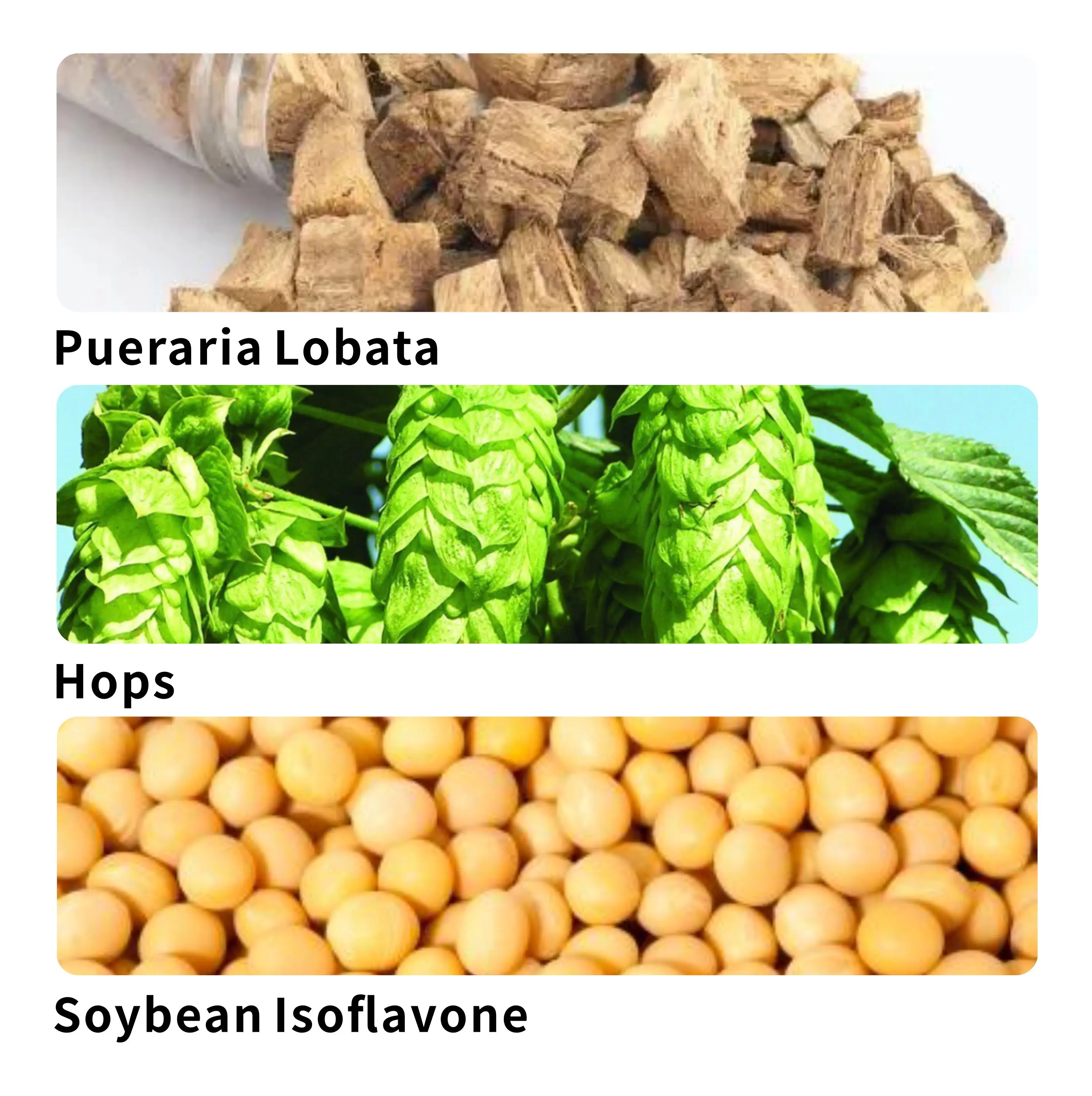 Oem Odm Nasyi Breast Enlargement Cream Nourishing Firming Postpartum