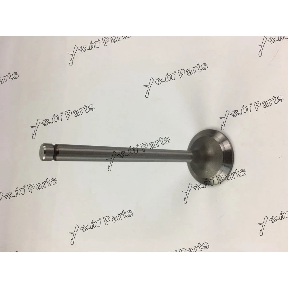 M10C Inlet Valves Kit for Hino Forklift Excavator Loaders