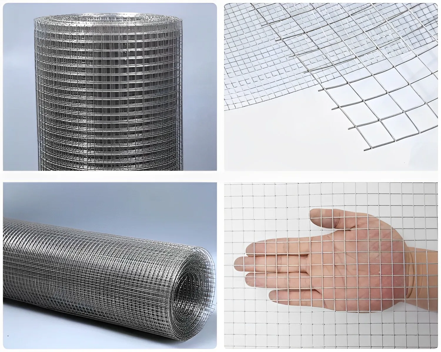 Hardware Cloth Cage Chicken Pens Roll Electro Hot Dipped Galvanized