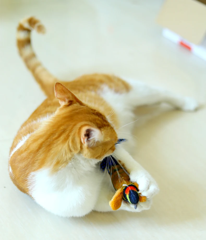 Simulation Calling Bird Cat Toy Adult Cat Baby Cat Companion Boredom Catnip Toy Dog Boredom Pet Supplies manufacture