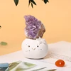 Amethyst cluster