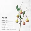 ผลไม้สีเขียว-5-หัว-แบบก้านเดี่ยว