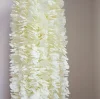Milky White