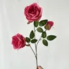 3 drunken maausdin rose pink
