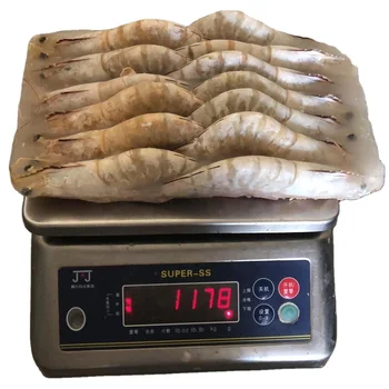 Frozen Indonesia Large Prawn Shrimp High Selling