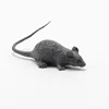 Mini ratón gris