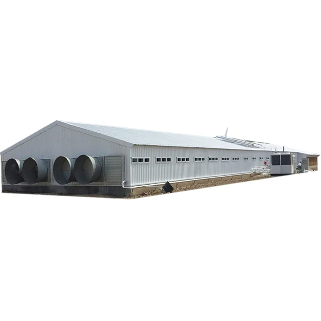 Modern Large-scale Automatic Poultry Farm for Broiler Poultry Chicken House Design for 5000 Chicken