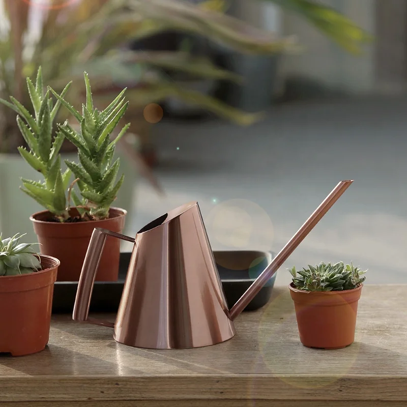 400ml Stainless Steel Watering Can - Mini Gold Metal Watering Pots for  Bonsai and Garden Plant Care