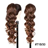 Loose Curls #T1B/30
