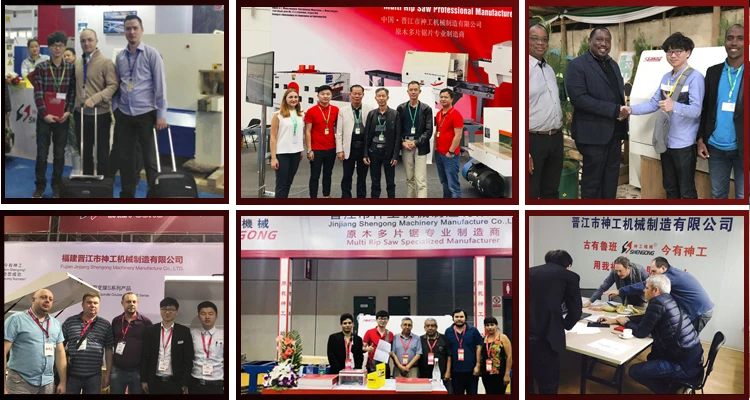Factory Direct Sales High Performance Wood Cutting Machine Rip Saw Machine Multi Rip Saw