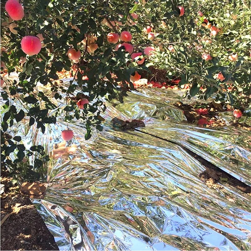 Vmpe Reflective Silver Metallic Pe Mulch Film For Orchard Garden Ground Vmpe Reflective Silver Metallic Pe Mulch Film For Orchard Garden Ground