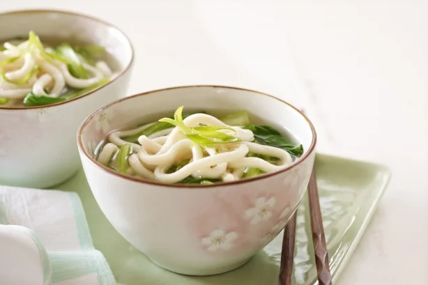 Japanese Style Fresh Udon Noodles