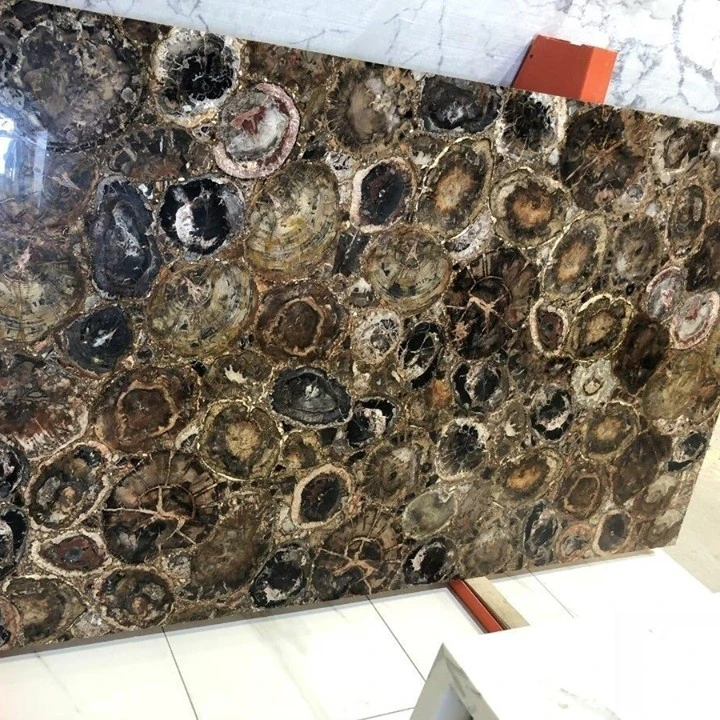 Brown fossil Stone Petrified Wood Semiprecious Stones Slab Table Price
