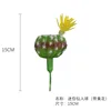 Mini cactus (con flores amarillas)