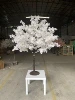 Blanco Cremoso, Árbol de Cerezo en Flor con Estambres Amarillos