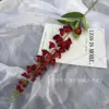 lily of the valley