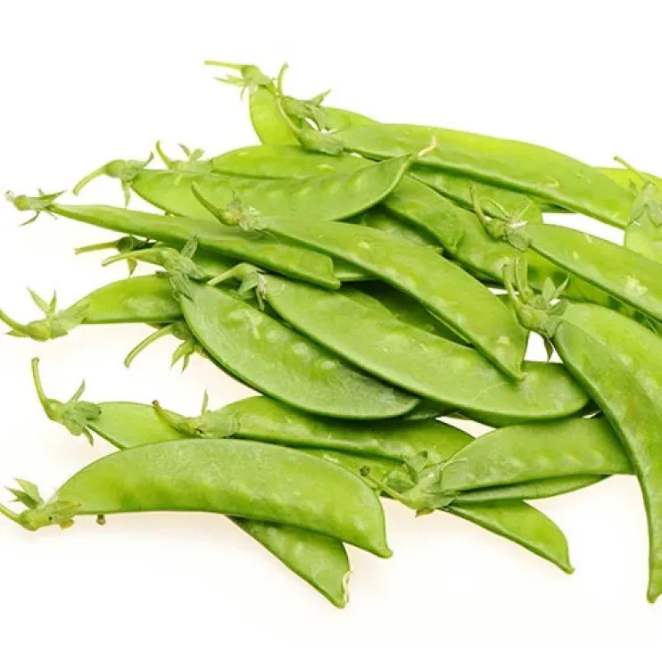 2021 new harvest hot selling good chinese fresh green snow pea