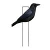 Black Rester Fully Flocked Crow