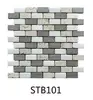 STB101