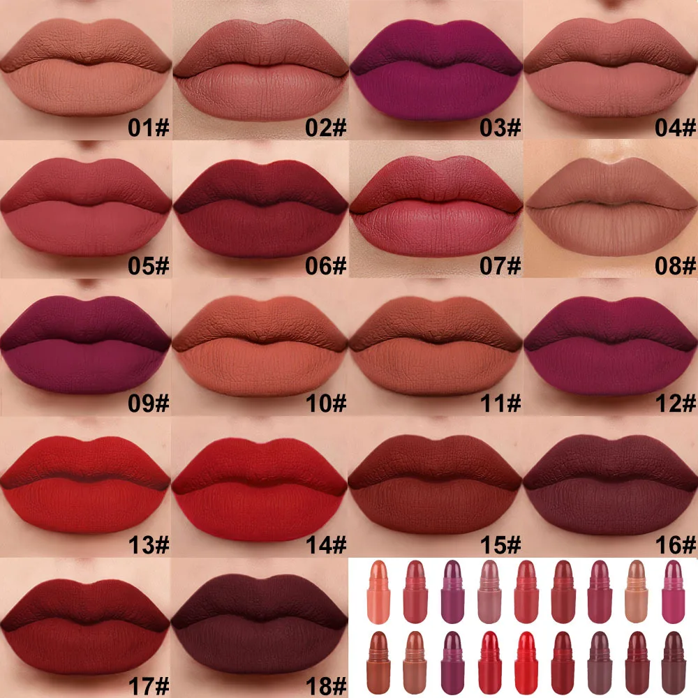DNM 18 Colors Mini Capsule Style Lipstick Velvet Matte Lipsticks Set Travel Size Tint High Pigment Cosmetics
