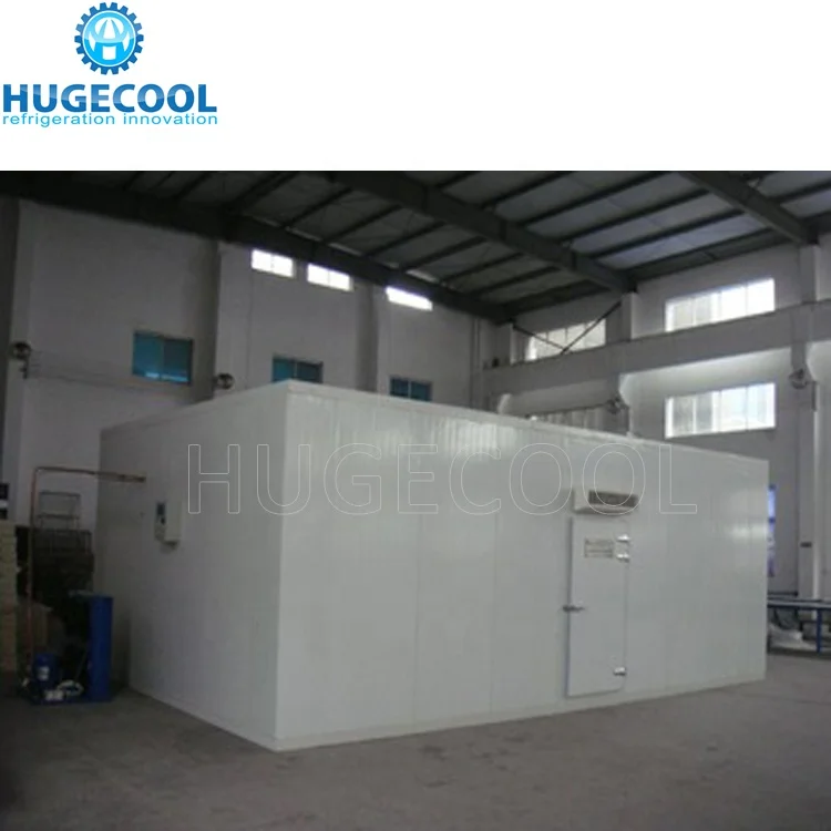 Hugecool Cold Storage Freezing Blast Freezer Walk in Cold Room for Potato Meat, Fish, Chicken, Seafood with Refrigeration Unit