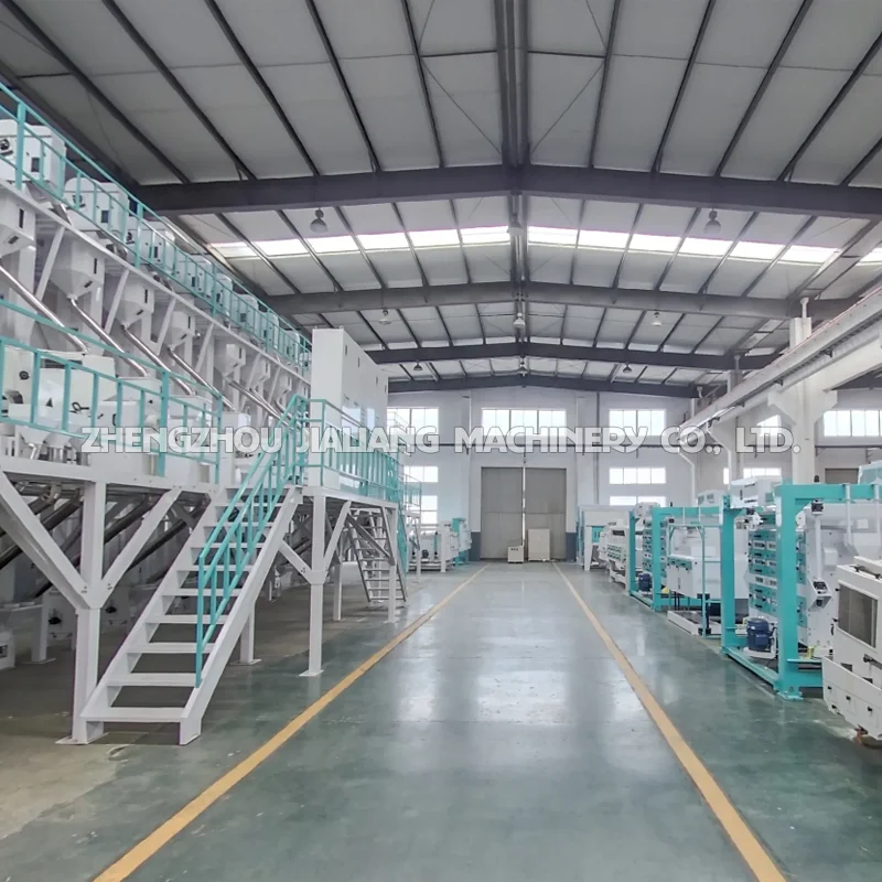 20 Ton Automatic Rice Milling Machine Complete Paddy Seed Processing from Japan with Core Motor Component
