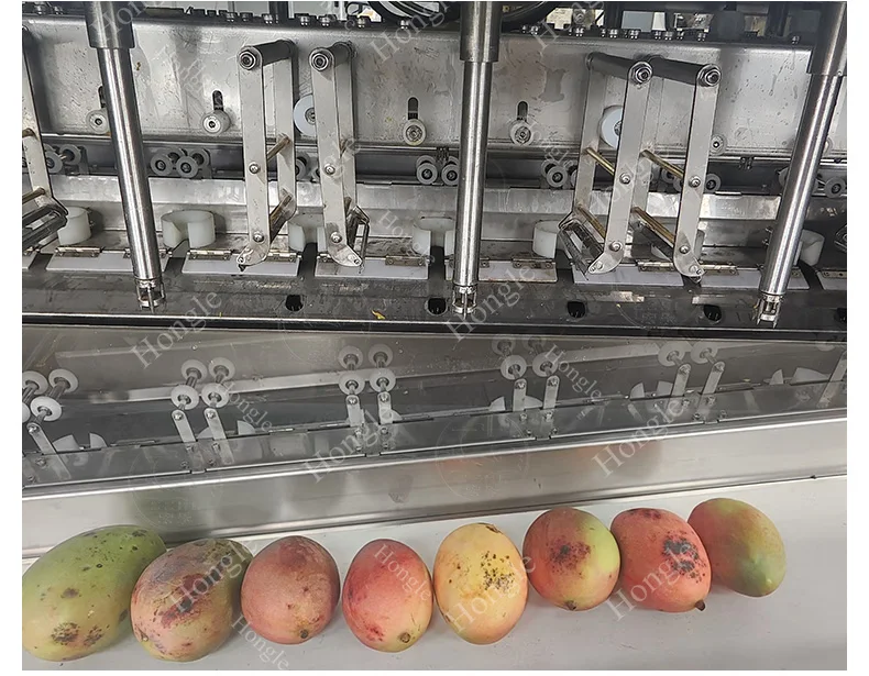 Orange Mango Automatic Peeling Machine details